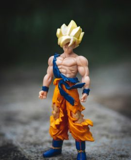 jeet-dhanoa-sR1BaDlRSKM-unsplash